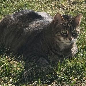 Meet your Posher, Tammy